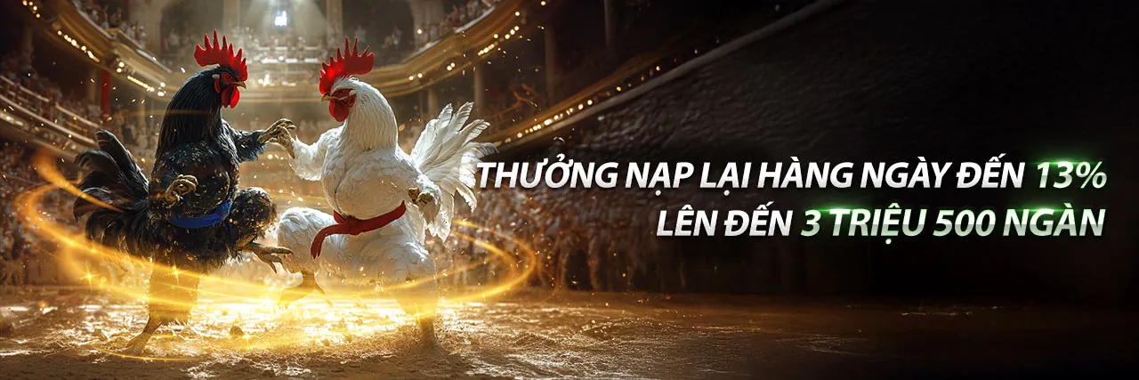 Gói Chào Mừng q99 khuyến mãi 2026