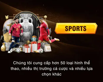 Vận động viên đang thực hiện động tác thể dục dụng cụ, tượng trưng cho các môn thể thao khác